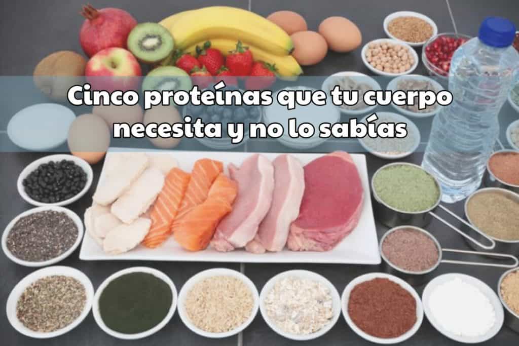 proteinas esenciales