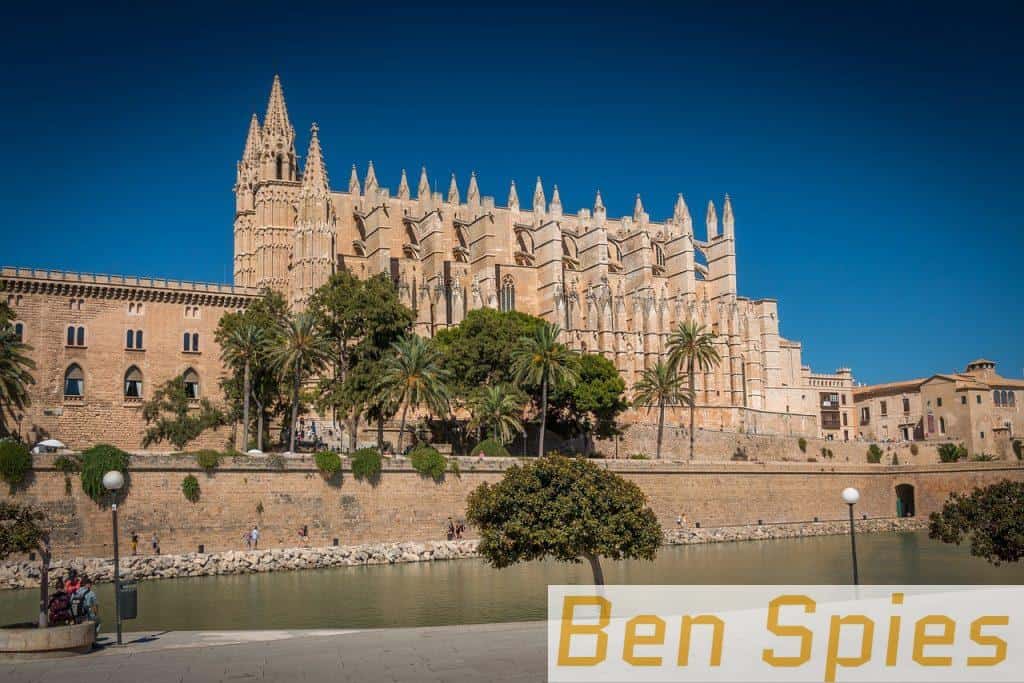 palm tree, mallorca, cathedral