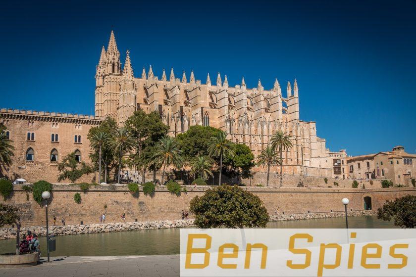 palm tree, mallorca, cathedral