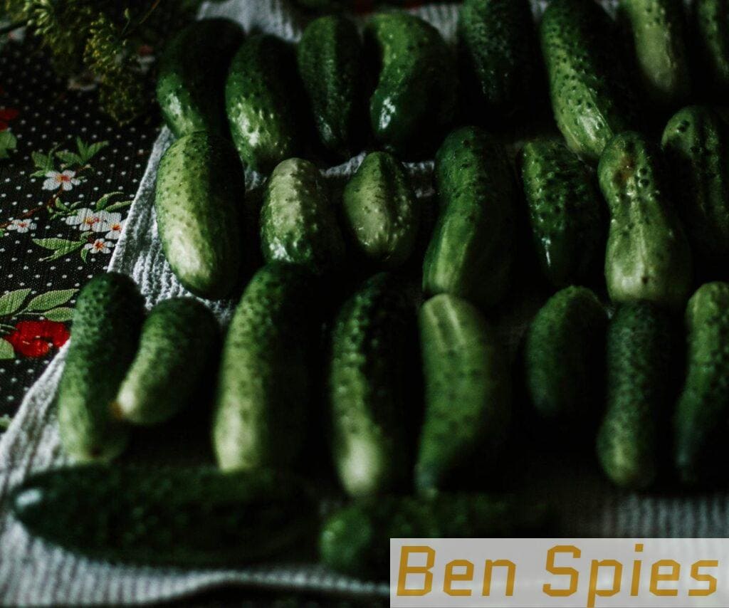 Organic cucumbers laid out on a textured surface, showcasing their freshness and green color.