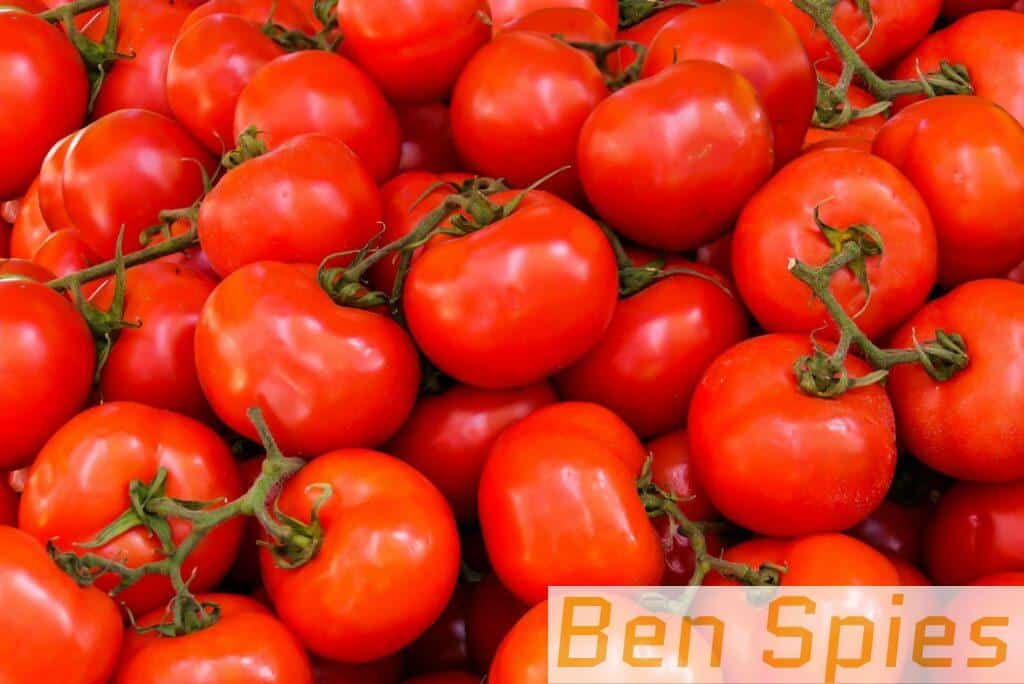 Tomates