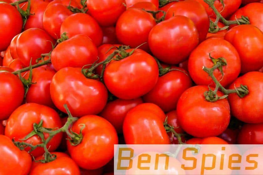 Tomates